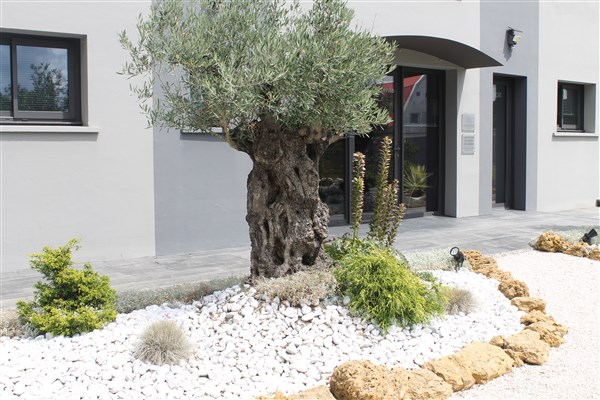 Cabinet de Mont-de-Marsan